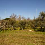 Raggiungiamo cos� il confine del campo, posto praticamente �sotto� la statale 100...